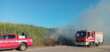 Incendi dolosi nel Foggiano, a fuoco l’Oasi Lago Salso. Marasco: «Criminali della natura» – VIDEO