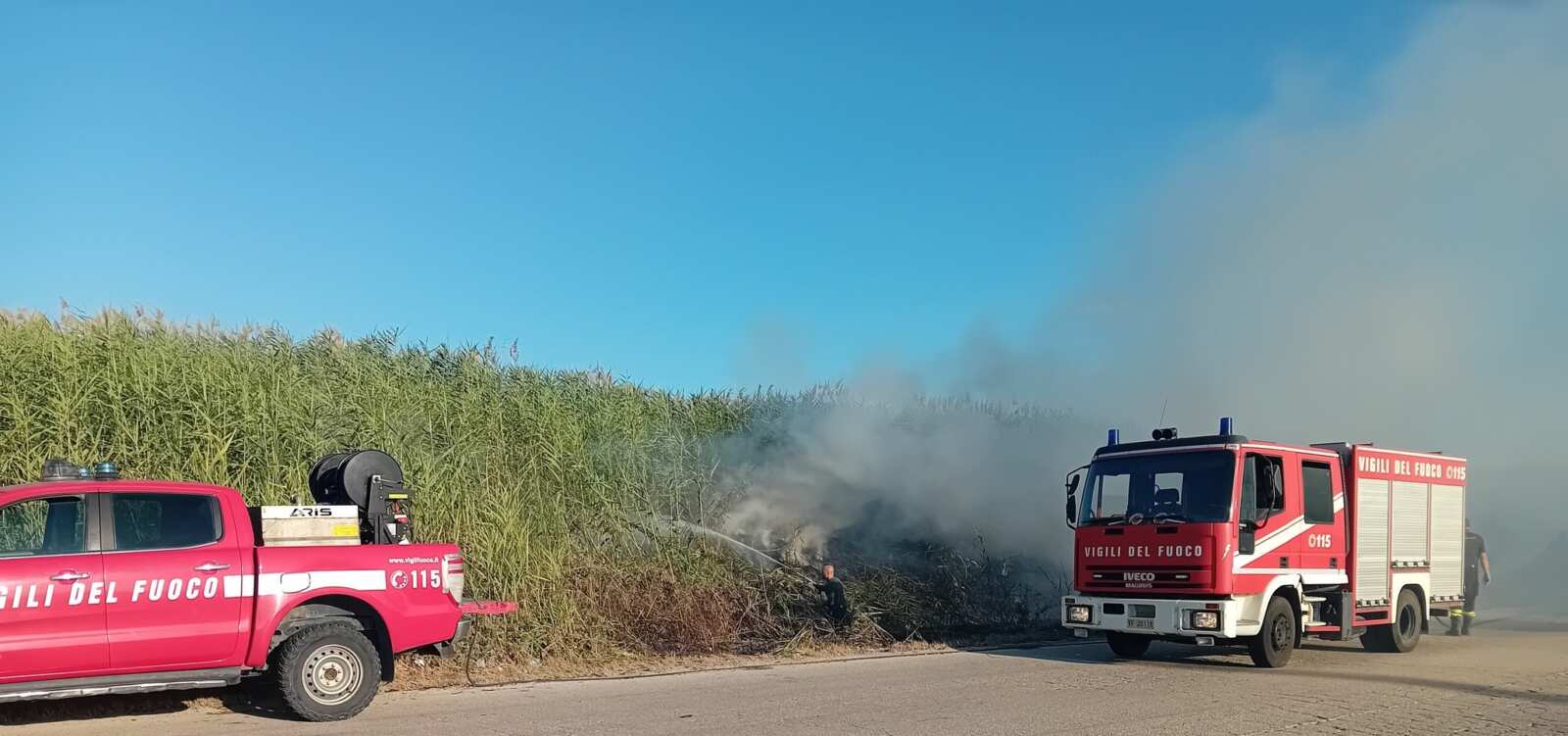 Galleria foto 'Incendi dolosi nel Foggiano, a fuoco l’Oasi Lago Salso. Marasco: «Criminali della natura» – VIDEO' - foto 3