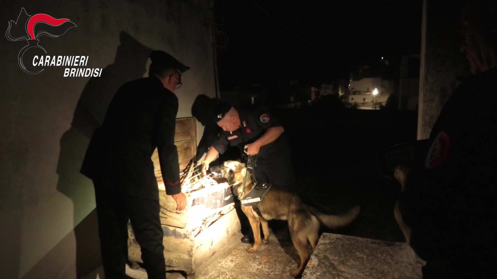Galleria foto 'Carovigno, la base dello spaccio di cocaina in casa di due coppie: tre persone ai domiciliari – VIDEO' - foto 1