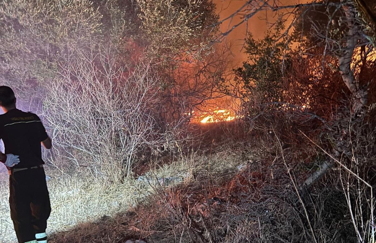 Galleria foto 'La mafia degli incendi, territori sott’assedio e piromani impuniti' - foto 1