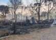 Incendi a Metaponto, la Procura di Matera ha aperto un’inchiesta: «Sono di natura dolosa»