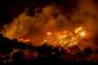 Emergenza incendi in Puglia: quasi 3mila ettari in fumo. Coldiretti lancia l’allarme rifiuti e criminalità ambientale
