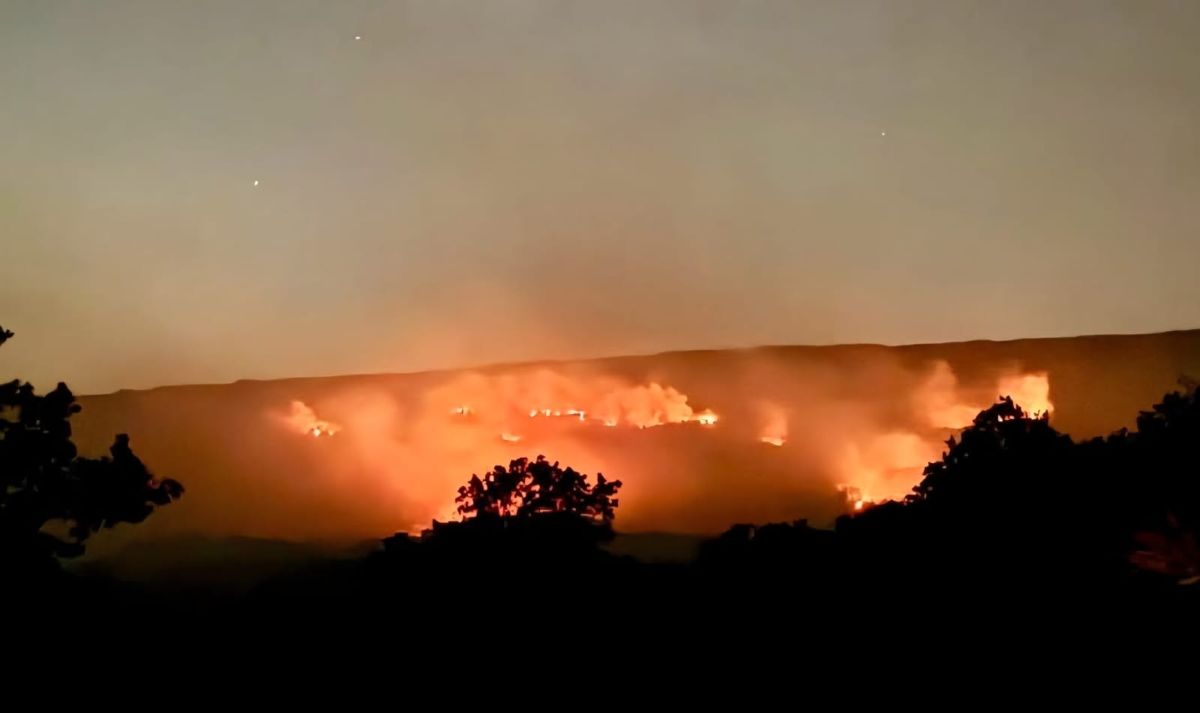 Galleria foto 'Terrore incendiario sul Gargano: in fuga dalle masserie per salvarsi' - foto 1