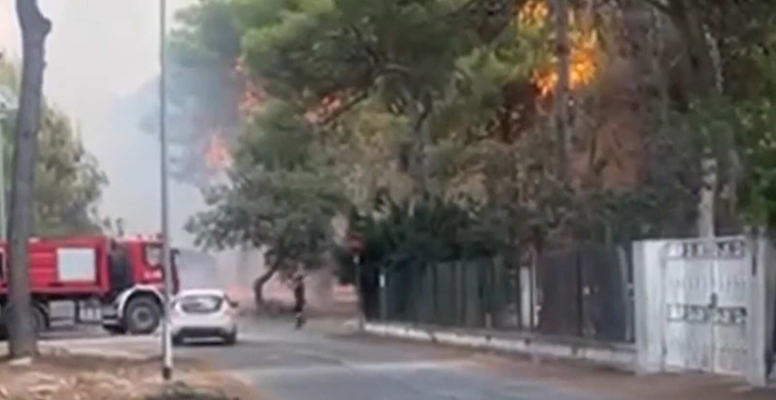 Galleria foto 'Pulsano, torna la paura a Lido Silvana: dopo un anno scoppia un nuovo incendio. Case evacuate' - foto 1