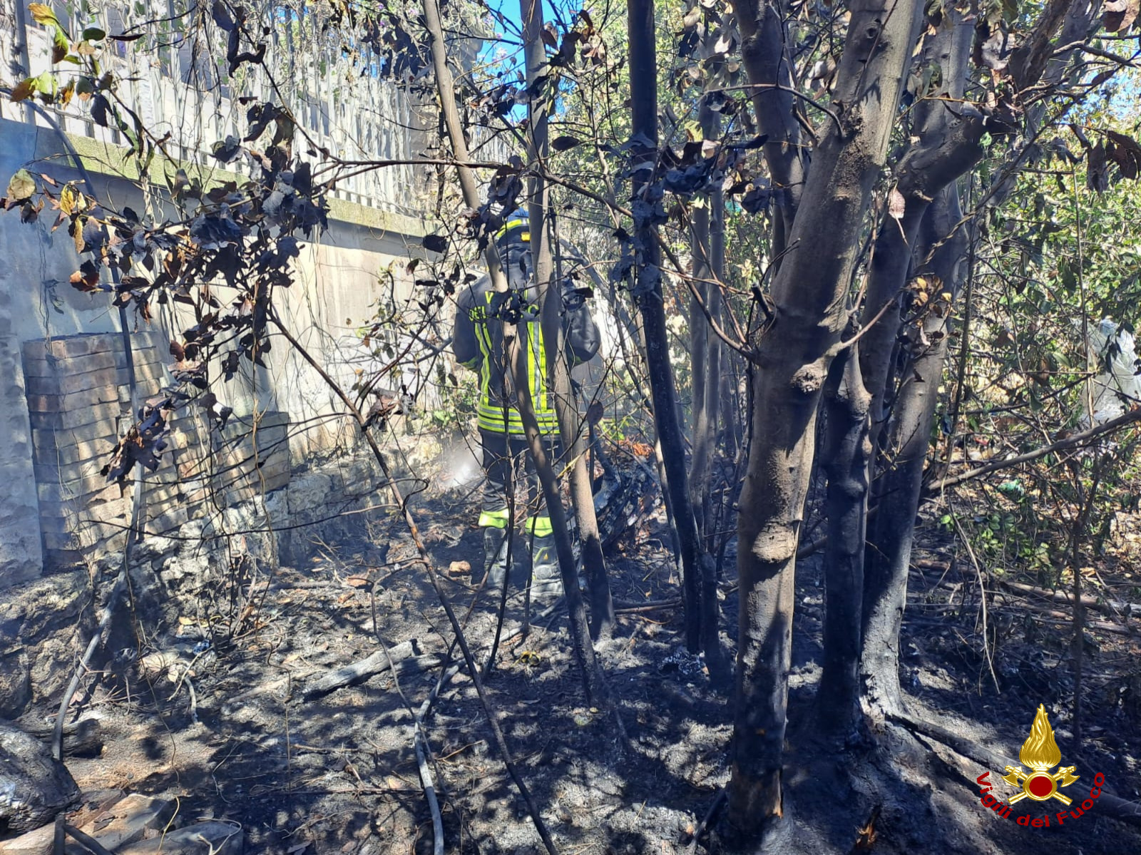 Galleria foto 'Bari, incendio al mercato ortofrutticolo: le fiamme partite da alcune cassette in legno. Chiusa via Napoli – FOTO' - foto 2
