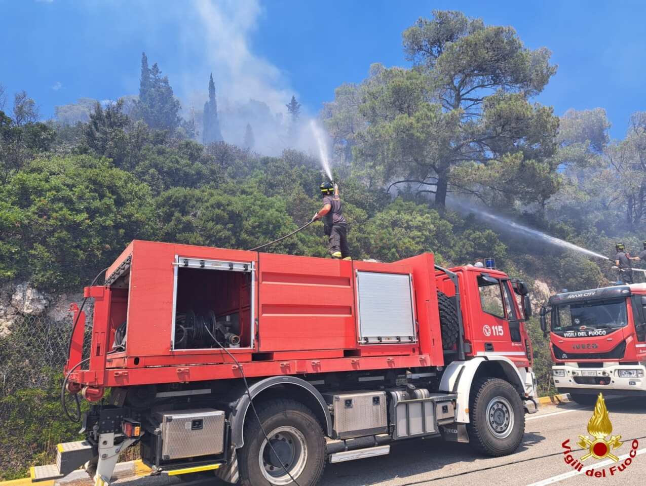 Galleria foto 'Monopoli, brucia la macchia mediterranea: chiusa la provinciale. Interviene un canadair – VIDEO' - foto 2