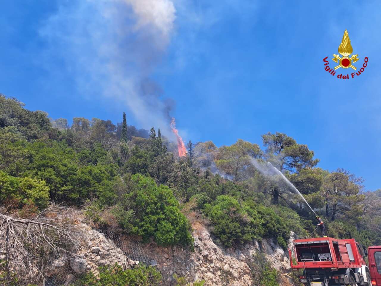 Galleria foto 'Monopoli, brucia la macchia mediterranea: chiusa la provinciale. Interviene un canadair – VIDEO' - foto 3