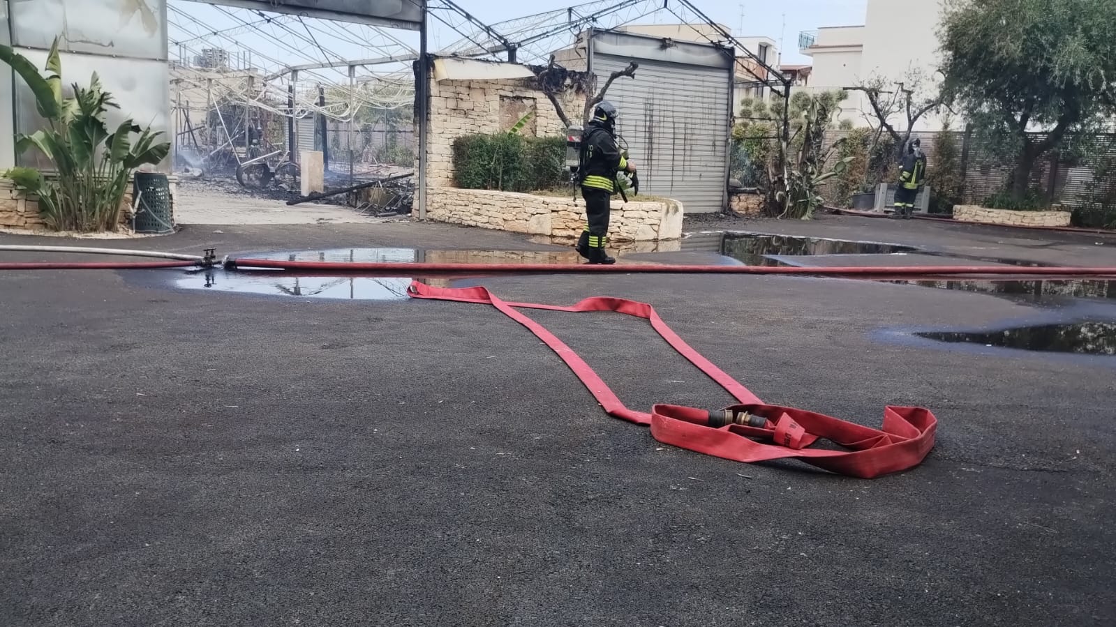 Galleria foto 'Paura a Grumo Appula, in fiamme i capannoni di una serra: all’opera cinque squadre dei vigili del fuoco' - foto 1