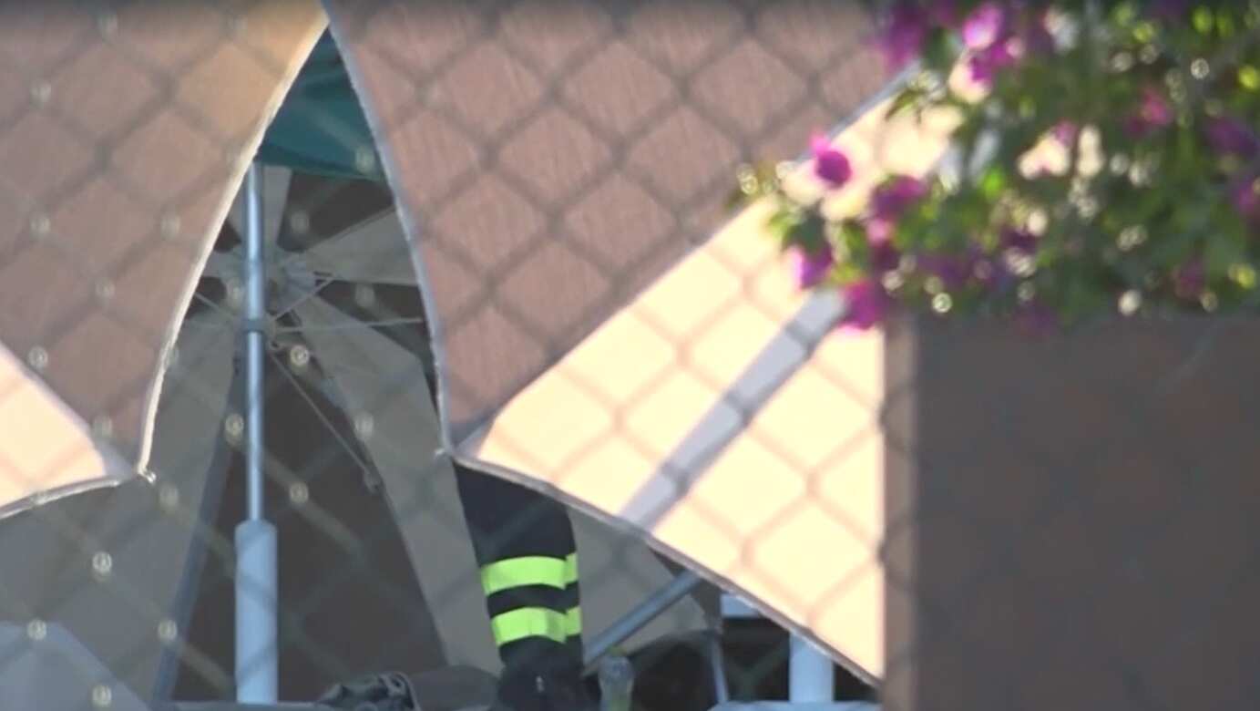 Galleria foto 'Muore Felix Baumgartner, leggenda del base jump: tragico incidente col parapendio a Porto Sant’Elpidio' - foto 1