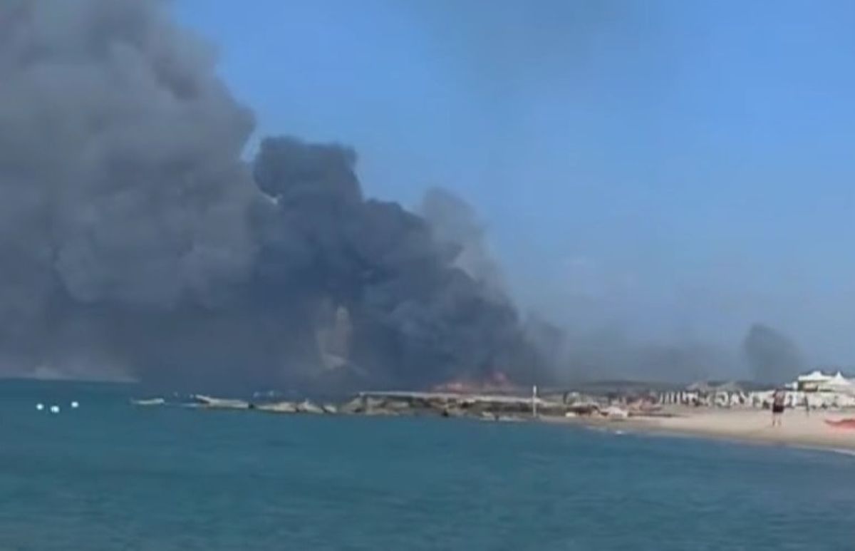 Galleria foto 'Vasto incendio a Lesina, chiuso un tratto della Ss 16 per il fumo: «Circa 30 ettari di terreno in fiamme»' - foto 1