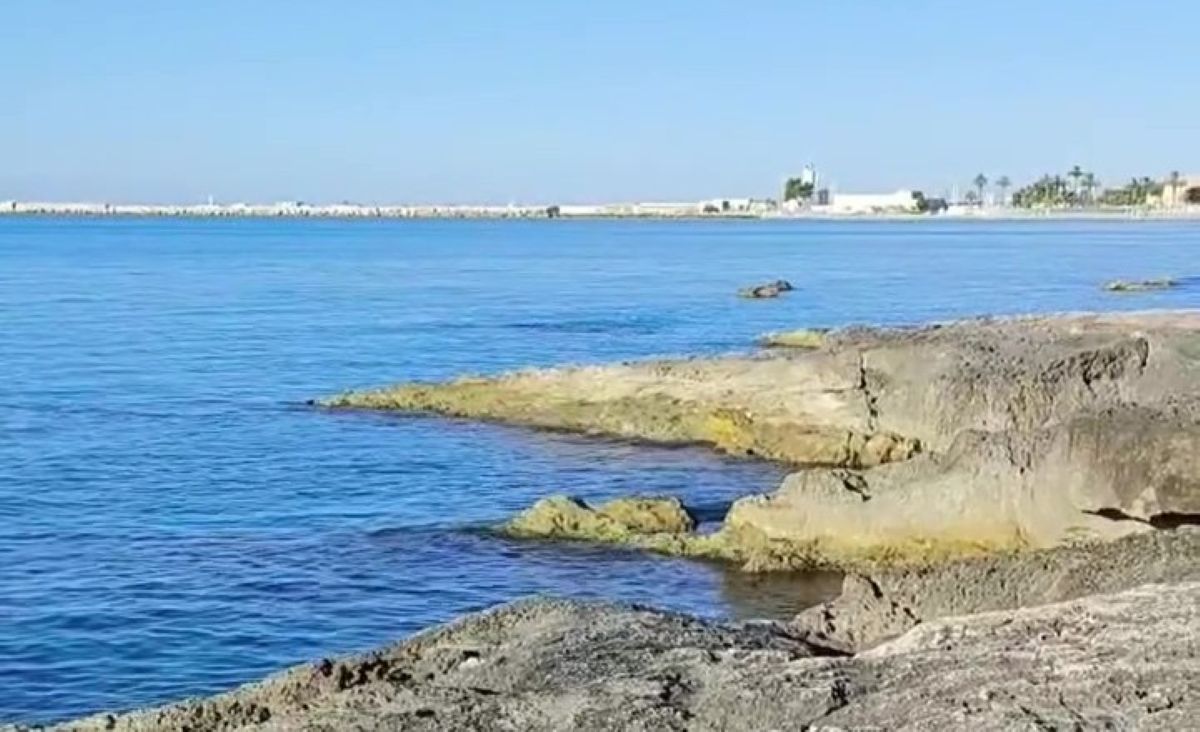 Liquami in mare, a Manfredonia scatta il divieto di balneazione: l’ira dei gestori dei lidi Liquami in mare, a Manfredonia scatta il divieto di balneazione: l’ira dei gestori dei lidi