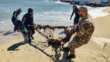 Operazione “Fondali e Mari Puliti” a Torre a Mare: Aeronautica Militare e istituzioni unite per l’ambiente – FOTO
