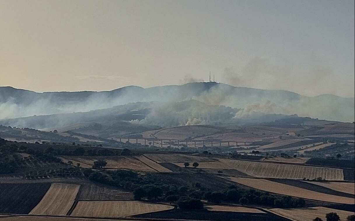 Galleria foto 'A fuoco i Monti Dauni, vasto incendio a Motta Montecorvino: paura per una casa di riposo' - foto 1