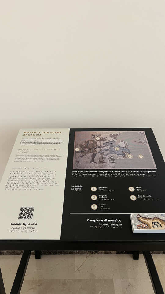 Galleria foto 'Taranto, il MArTa sempre più inclusivo: ecco i percorsi tattile, 3D e olfattivo per un’esperienza multisensoriale – FOTO' - foto 6