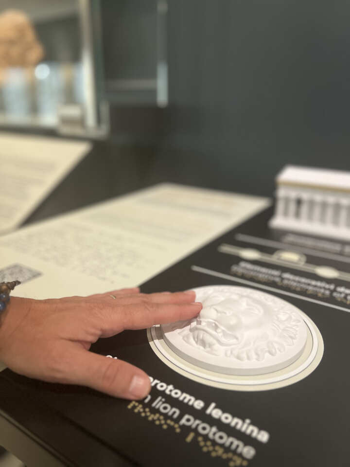 Galleria foto 'Taranto, il MArTa sempre più inclusivo: ecco i percorsi tattile, 3D e olfattivo per un’esperienza multisensoriale – FOTO' - foto 3