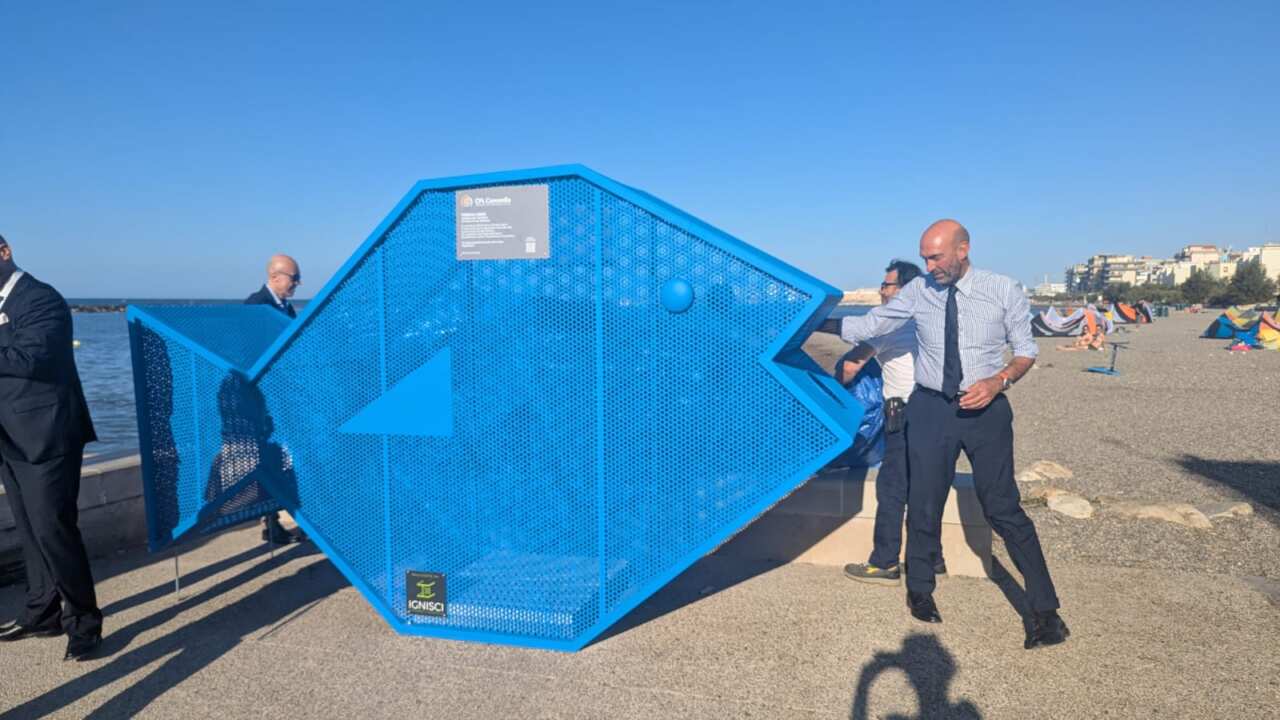Galleria foto 'Un “pesce mangia-plastica” arriva sul waterfront di San Girolamo: «Simbolo per i “Fondali Liberi” a Bari» – FOTO' - foto 1