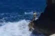 Monopoli, si tuffa per fare un video ma non riesce a risalire: turista 21enne salvato dalla Guardia costiera – VIDEO