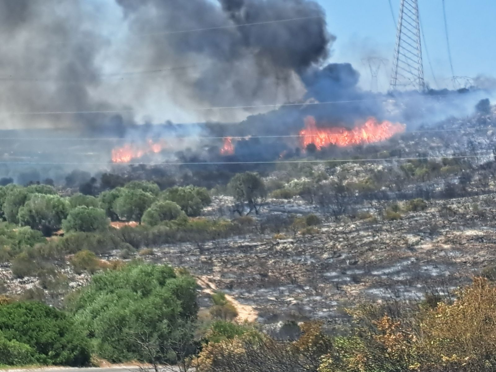 Vasto incendio a Grottaglie, il sindaco invita a chiudere le finestre e restare in casa per sicurezza Vasto incendio a Grottaglie, il sindaco invita a chiudere le finestre e restare in casa per sicurezza