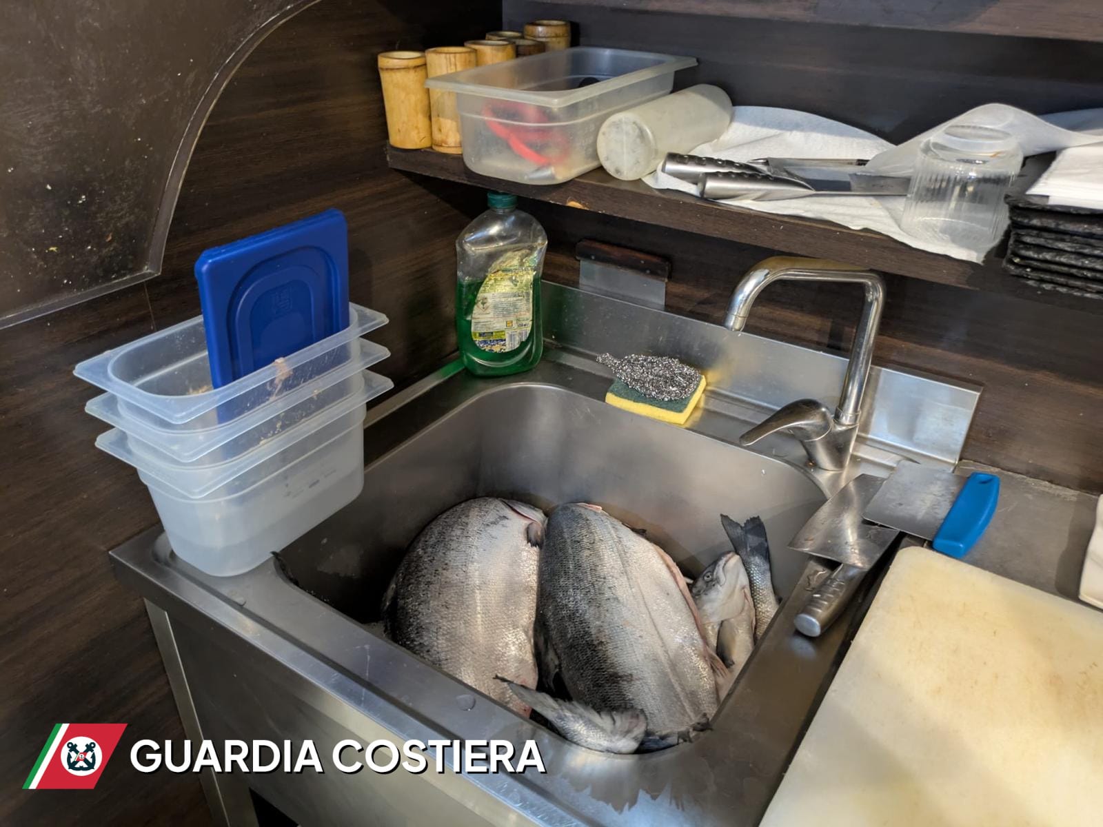 Galleria foto 'Polignano, si sente male dopo aver mangiato in un ristorante etnico: sequestrato mezzo quintale di cibo – FOTO' - foto 1