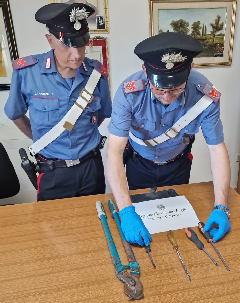 Galleria foto 'Salento, sventato furto di rame a Collepasso e raffica di sanzioni dei carabinieri: il bilancio dei controlli' - foto 2
