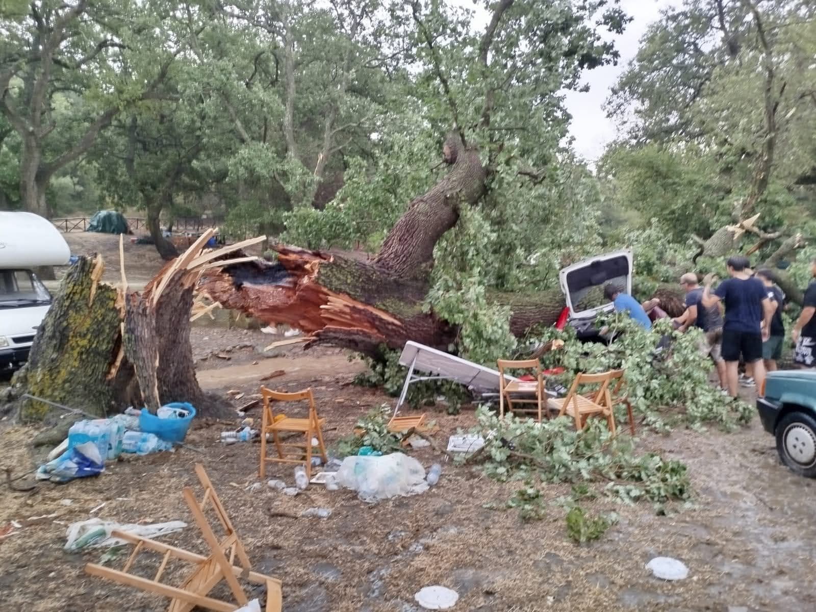 Maltempo a Ferrandina, si spezza una quercia e cade sull’auto: muore un 24enne, tre feriti gravi Maltempo a Ferrandina, si spezza una quercia e cade sull’auto: muore un 24enne, tre feriti gravi