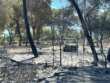 Incendi in Puglia: piromani sempre più furbi, ma tagli del 10% alla protezione civile