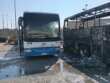 Bari, fiamme nel deposito della Stp: a fuoco quattro autobus. Al vaglio i filmati delle telecamere – FOTO