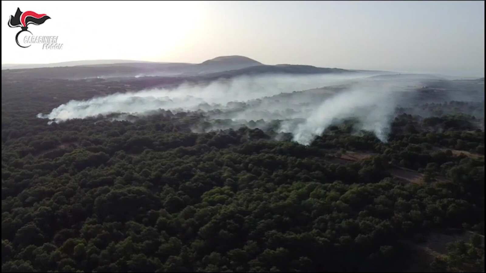 Incendi, un arresto e undici denunce nel Foggiano: multe per oltre 150mila euro – VIDEO Incendi, un arresto e undici denunce nel Foggiano: multe per oltre 150mila euro – VIDEO