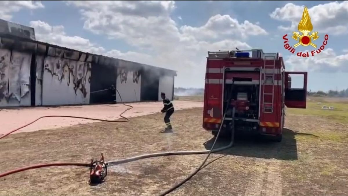 Cellino San Marco, fiamme in un hangar: distrutti aerei biposto. Feriti un pilota e un operatore del 118 Cellino San Marco, fiamme in un hangar: distrutti aerei biposto. Feriti un pilota e un operatore del 118