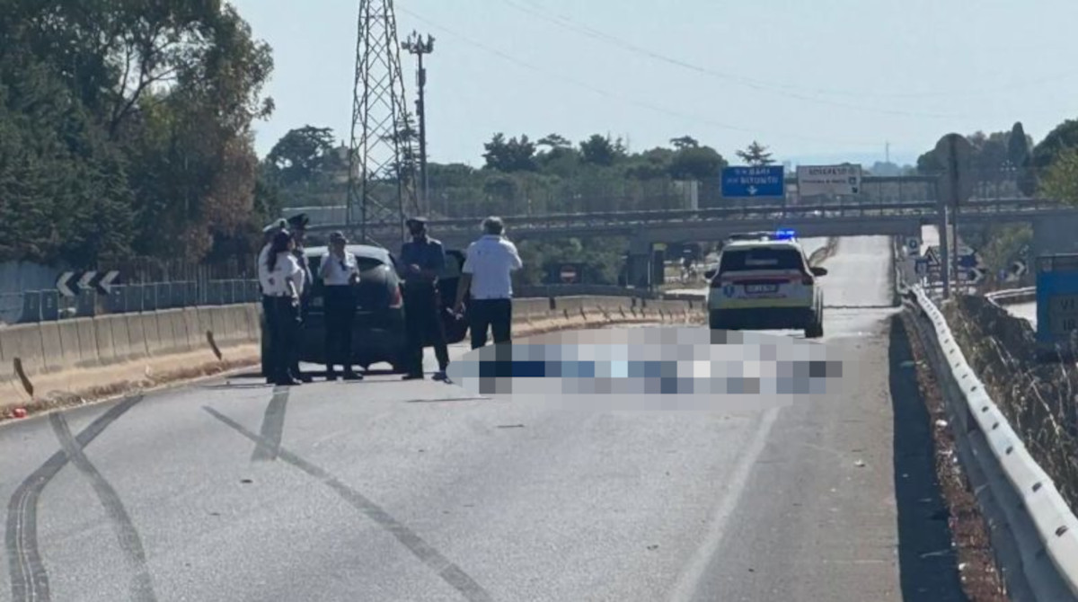 Galleria foto 'Dramma tra Andria e Terlizzi, investiti da un’auto: morti tre ciclisti, ferito il conducente della vettura' - foto 1