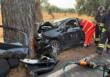 Incidente alle porte di Fasano, un’auto finisce contro un albero: cinque feriti in codice rosso