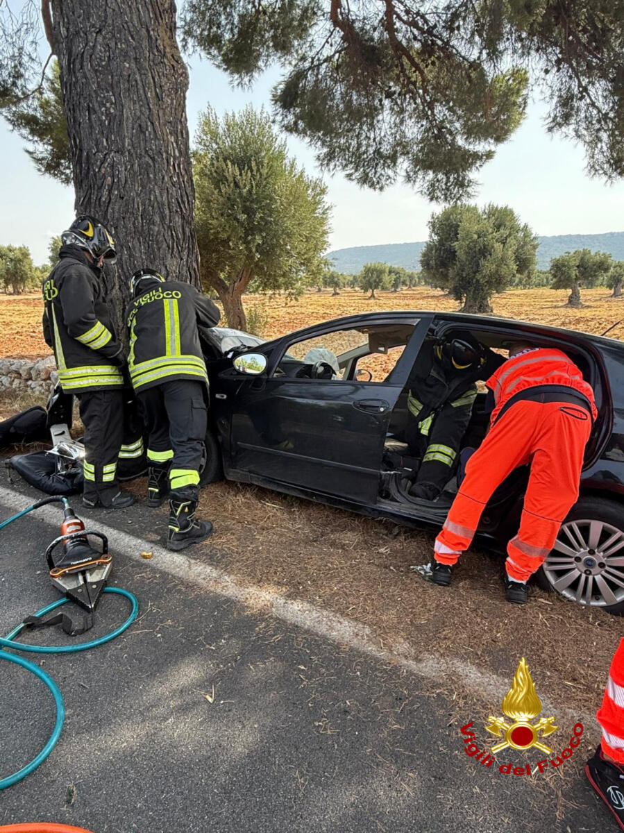 Galleria foto 'Incidente alle porte di Fasano, un’auto finisce contro un albero: cinque feriti in codice rosso' - foto 1