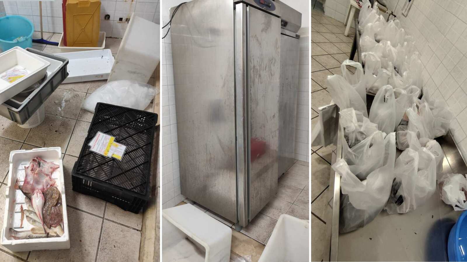 Ristorazione e prodotti ittici, sanzioni a Trani e Bisceglie: lavoro nero e irregolarità igieniche Ristorazione e prodotti ittici, sanzioni a Trani e Bisceglie: lavoro nero e irregolarità igieniche