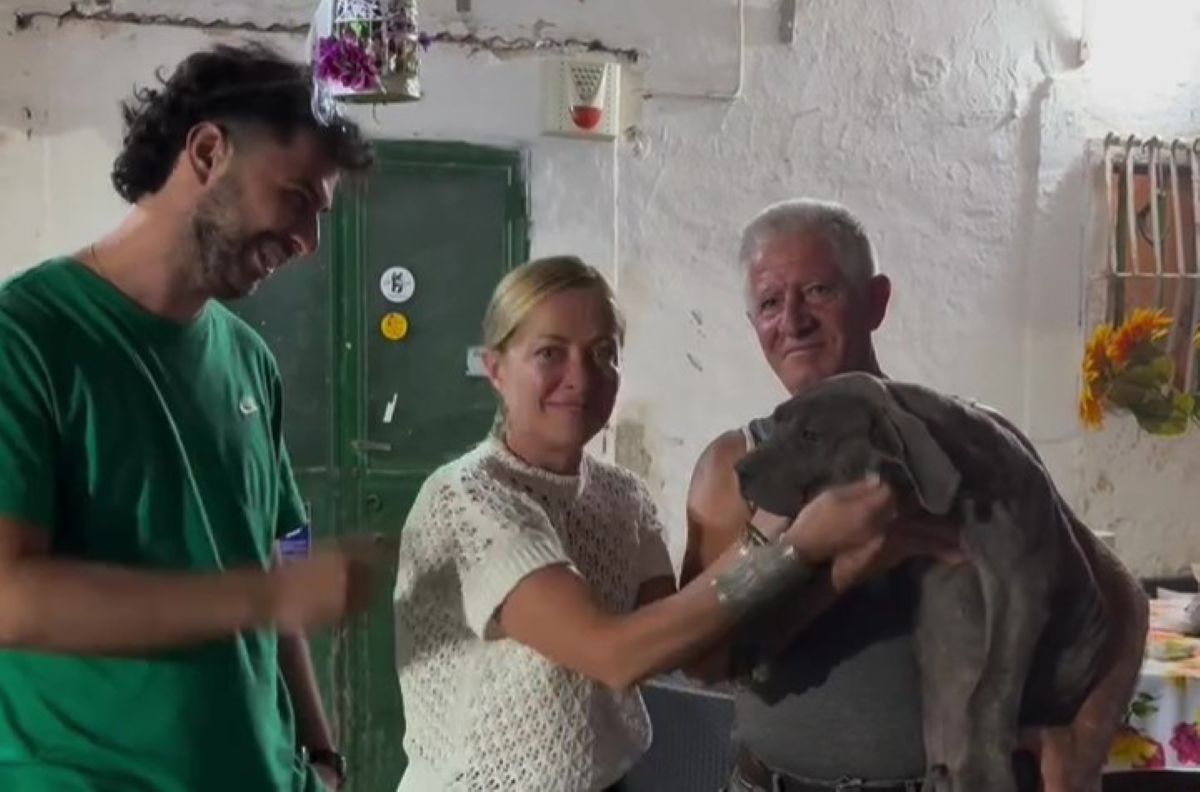 Le vacanze pugliesi di Meloni: niente vertice tra i leader del centrodestra. La premier visita un allevamento di cani – VIDEO Le vacanze pugliesi di Meloni: niente vertice tra i leader del centrodestra. La premier visita un allevamento di cani – VIDEO