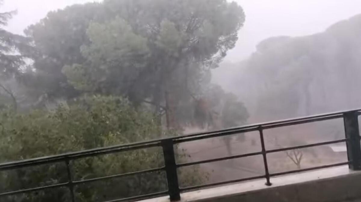 Galleria foto 'Maltempo, Foggia colpita da un violento temporale: strade allagate e danni ai veicoli – VIDEO' - foto 1