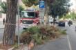 Brindisi, grosso ramo rischia di cadere su passanti e auto parcheggiate: rimosso dai vigili del fuoco – VIDEO
