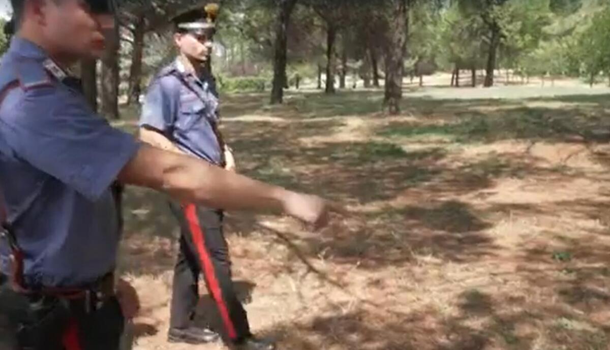 Galleria foto 'Roma, violentata al parco di Tor Tre Teste. Il 26enne fermato: «Ero sotto effetto di droghe»' - foto 1