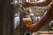 Puglia, boom della birra artigianale: +20% le aziende Made in Italy dal campo al bicchiere