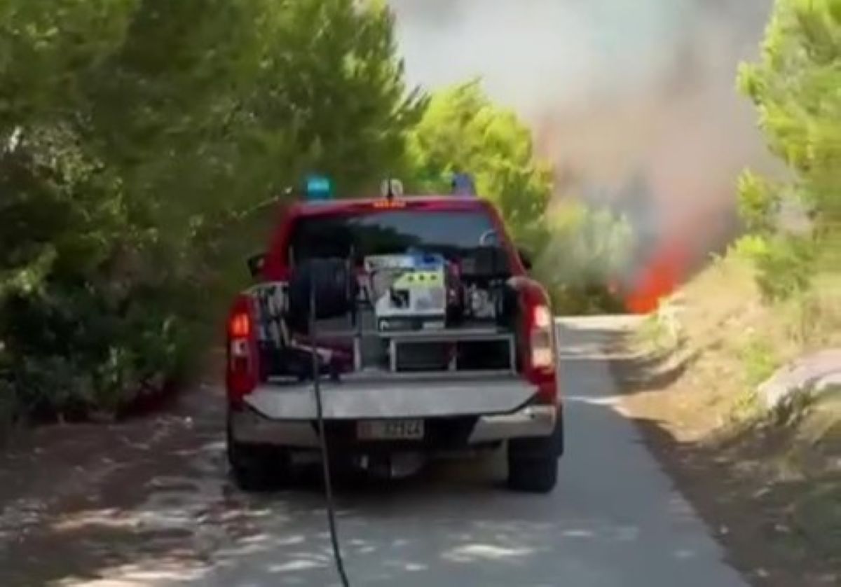 Galleria foto 'Incendio vicino a un campeggio a Peschici, il sindaco: «I turisti non sono mai stati in pericolo»' - foto 1