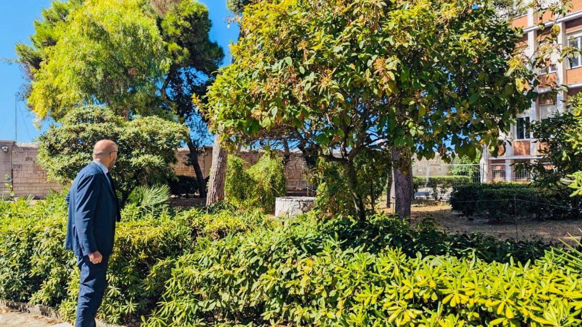 Galleria foto 'Bari, completati i lavori di messa in sicurezza al Parco del Castello. Leccese: «Riaprirà entro fine settembre» – FOTO' - foto 4