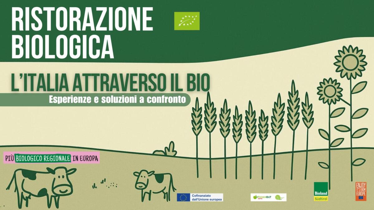 Ristorazione biologica, a Bari istituzioni e imprese insieme per un futuro sostenibile – VIDEO