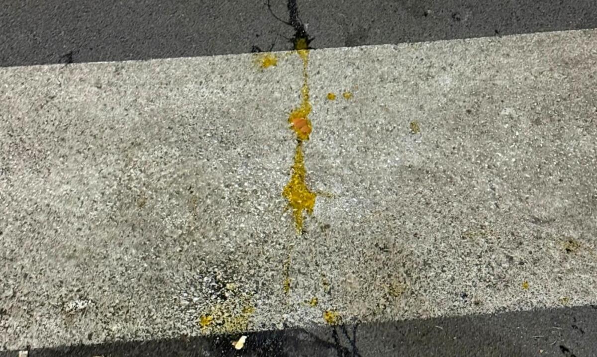 Foggia, lanciano uova da un’auto in corsa: la denuncia social del regista Sepalone Foggia, lanciano uova da un’auto in corsa: la denuncia social del regista Sepalone