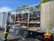 Bari, tir in fiamme sulla strada statale 16: traffico in tilt in direzione Nord. Intervengono i vigili del fuoco