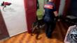 In trasferta dalla Campania per rubare nelle case dei pugliesi: 7 arresti. La “base logistica” a Castellaneta Marina – VIDEO