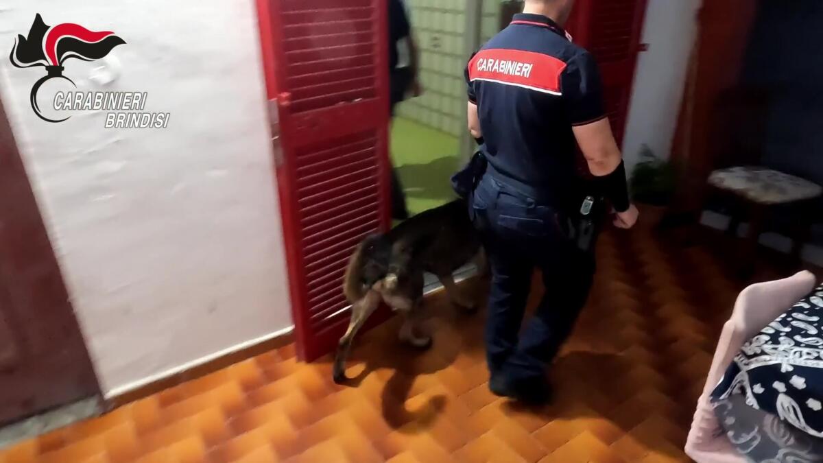 Galleria foto 'In trasferta dalla Campania per rubare nelle case dei pugliesi: 7 arresti. La “base logistica” a Castellaneta Marina – VIDEO' - foto 1