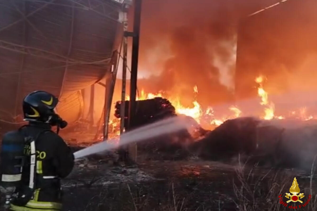 Giovinazzo, a fuoco tre capannoni sottoposti a sequestro: i vigili del fuoco al lavoro per ore – FOTO
