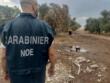 Sannicandro di Bari, sorpresi a incendiare rifiuti pericolosi in un uliveto: due arresti