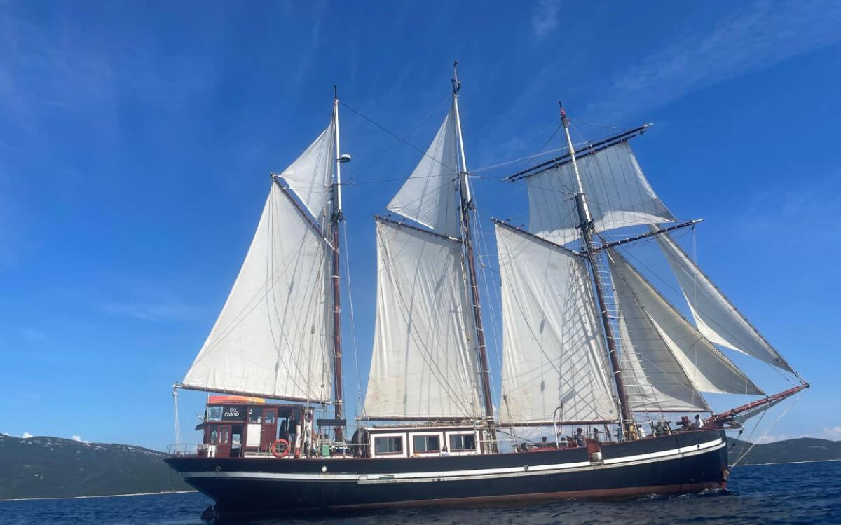 La nave scuola della pace “Bel Espoir” arriva a Bari: un ponte tra Oriente e Occidente La nave scuola della pace “Bel Espoir” arriva a Bari: un ponte tra Oriente e Occidente