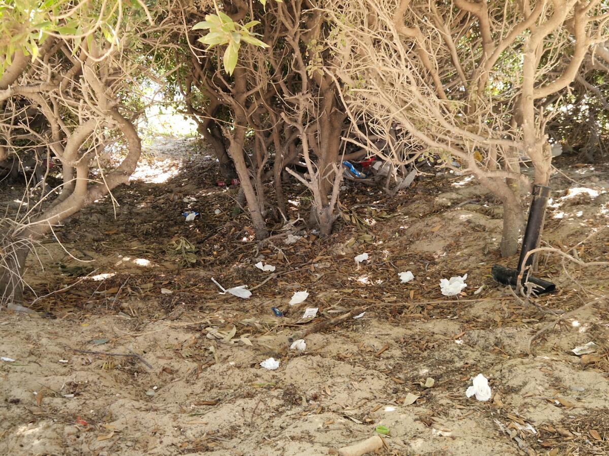 Bari, Pane e Pomodoro e il valzer delle panchine: conquistate le aree della spiaggia libera