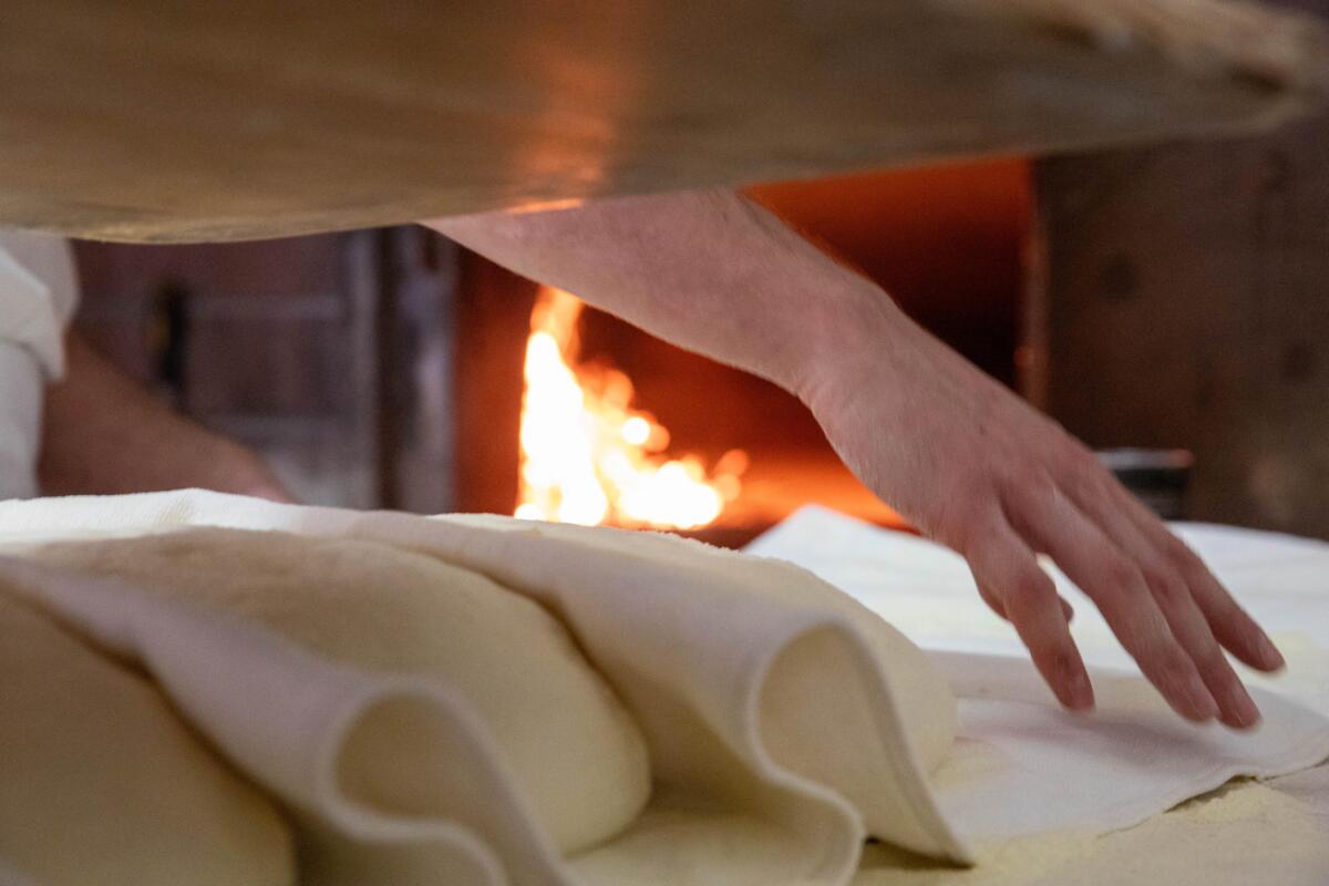 “Pani di Puglia”: reportage, memorie e un docufilm per raccontare un’eccellenza della regione – VIDEO